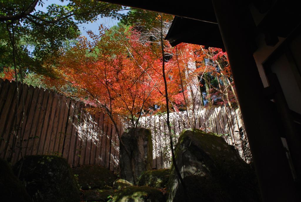 Akizuki Spa Ryokan Seiryuan Asakura  Eksteriør billede